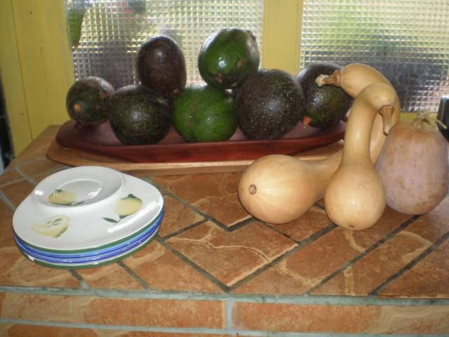 riquisimos aguacates y calabazas.JPG